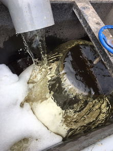 工源制造5000t/d高效浅层气浮助力印染厂绿色转型 广东普宁项目成功落地